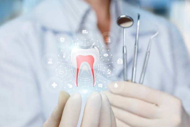 Best Full Mouth Reconstruction  in Maineville, OH